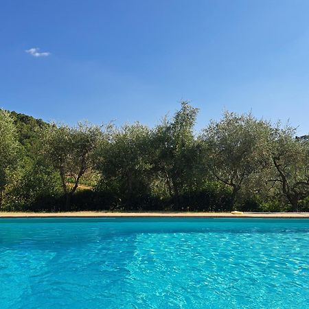 Agriturismo Poggio All'Olmo Villa Greve in Chianti Exterior foto