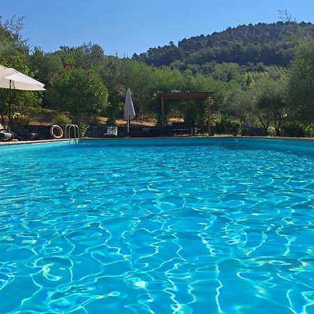Agriturismo Poggio All'Olmo Villa Greve in Chianti Exterior foto