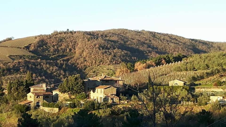Agriturismo Poggio All'Olmo Villa Greve in Chianti Exterior foto