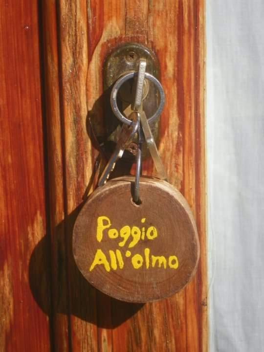 Agriturismo Poggio All'Olmo Villa Greve in Chianti Exterior foto