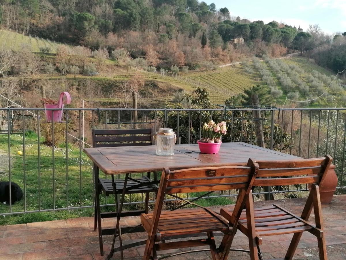 Agriturismo Poggio All'Olmo Villa Greve in Chianti Exterior foto
