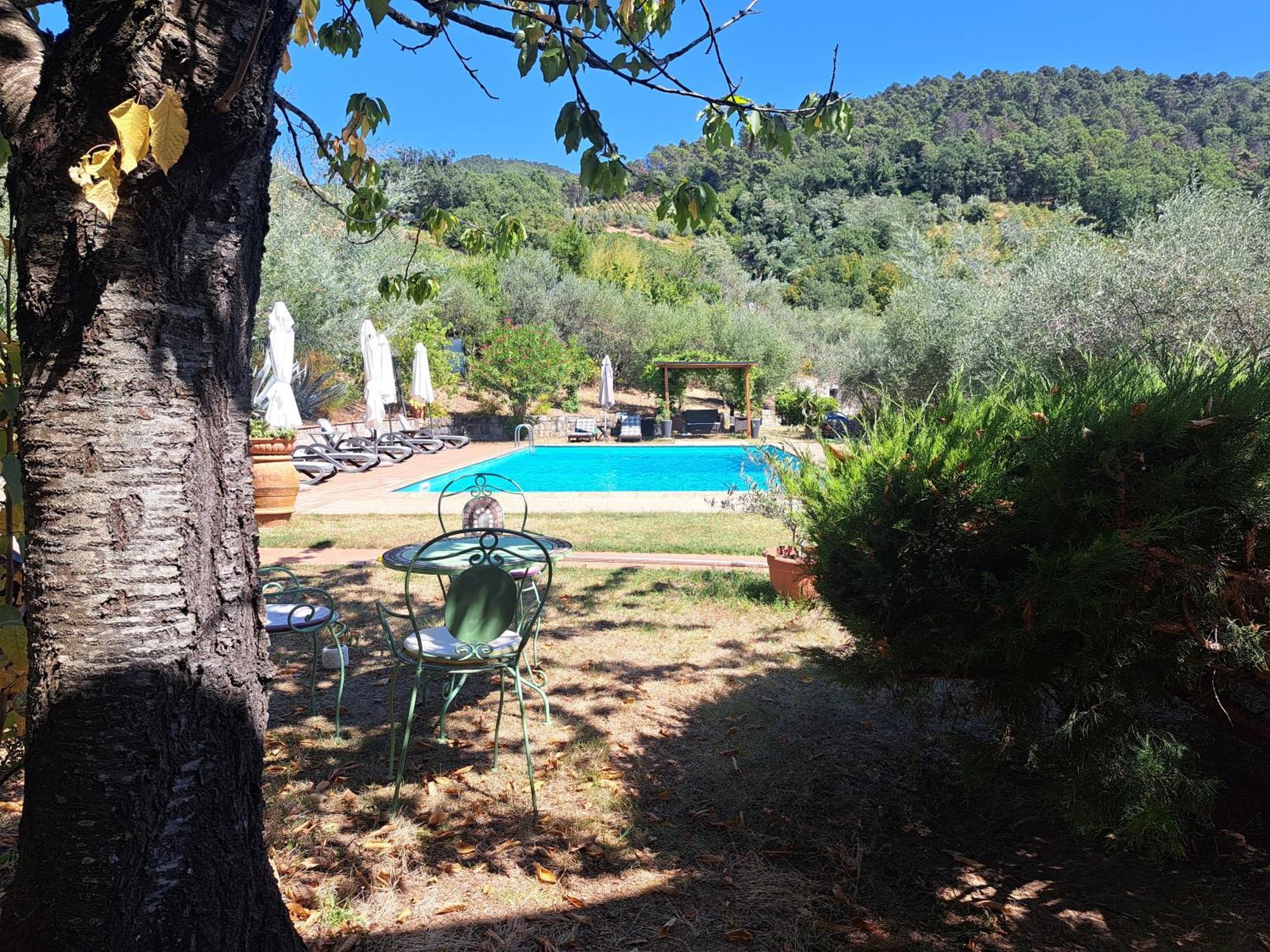 Agriturismo Poggio All'Olmo Villa Greve in Chianti Exterior foto