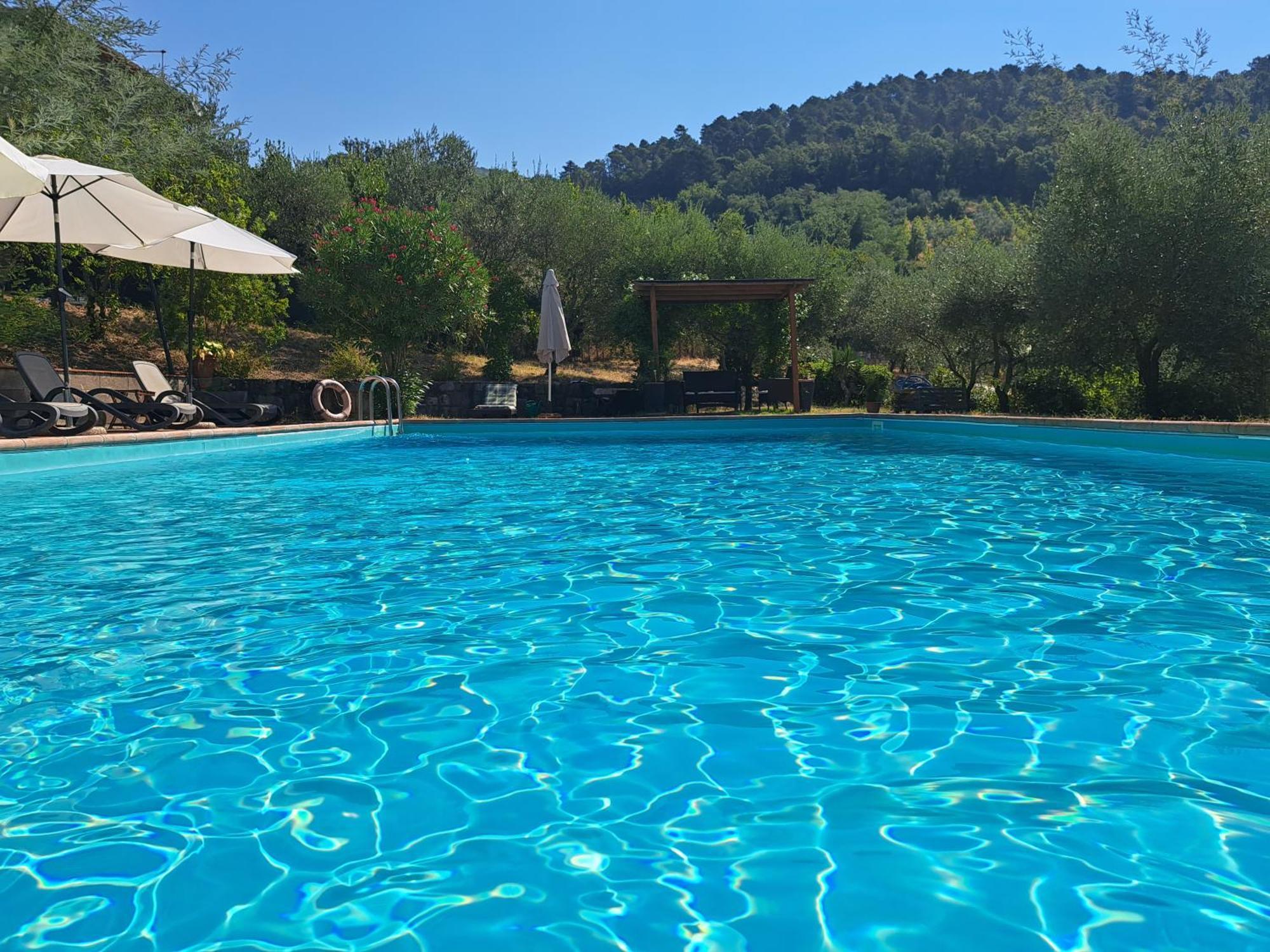 Agriturismo Poggio All'Olmo Villa Greve in Chianti Exterior foto