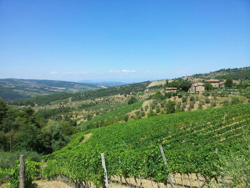 Agriturismo Poggio All'Olmo Villa Greve in Chianti Exterior foto