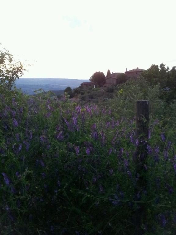 Agriturismo Poggio All'Olmo Villa Greve in Chianti Exterior foto