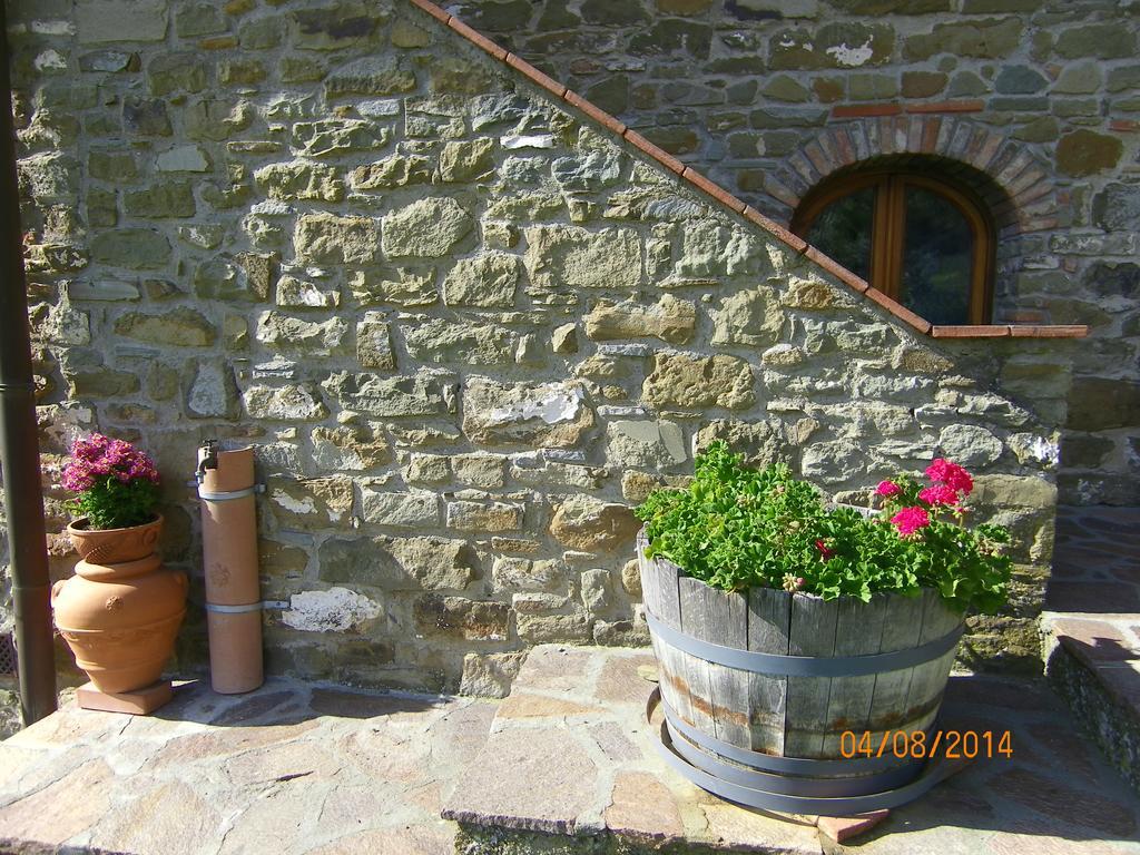 Agriturismo Poggio All'Olmo Villa Greve in Chianti Exterior foto