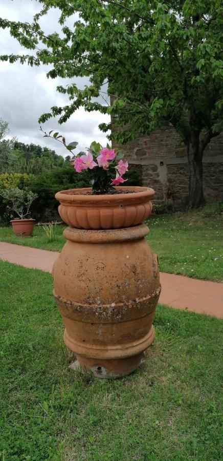 Agriturismo Poggio All'Olmo Villa Greve in Chianti Exterior foto