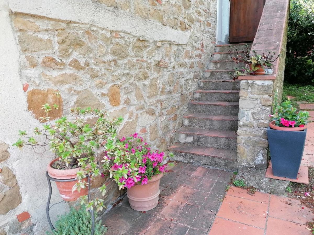 Agriturismo Poggio All'Olmo Villa Greve in Chianti Exterior foto